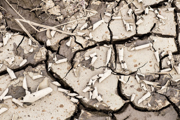 cracked earth drought  dry riverbed disaster