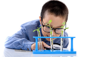 Young Asian boy check plant seedling in laboratory