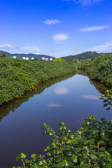 Rio com mata ciliar.