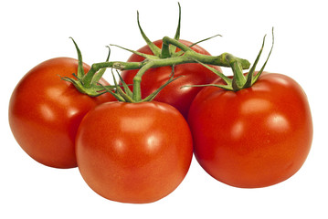 Juicy Red Tomatoes On Vine Isolated