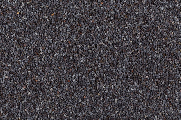 Poppy seeds background