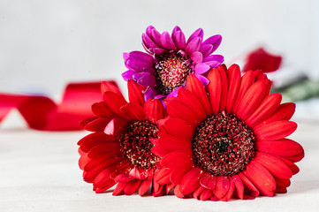 Colorful gerbera flowers with red tape on defocused background