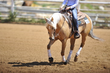 A front view of a rider and horse running ahead in the dust.