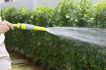 Watering the plants in garden - 109458911