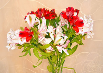 red and white bouquet of flowers with brown background