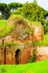  Ruins of Circus Maximus and  Palatine hill palace  in  Rome, It
