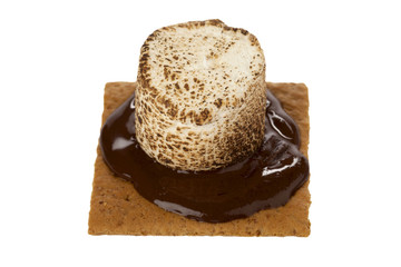 crackers with melted chocolate and grilled marshmallow