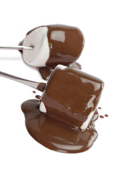 marshmallow covered with chocolate syrup.