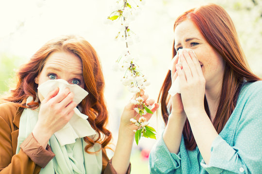 Allergie Schnupfen