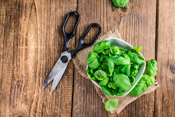 Heap of fresh Basil (selective focus)