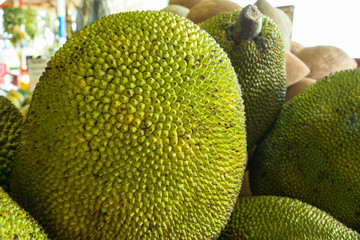 Jackfruit at tropical produce market