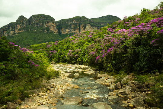 River On Chapada Diamantina