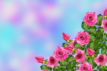 The buds of flowers roses. Holiday card. Floral background of ro