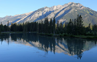 Mount Norquay reflecting in the Bow river.  Shot in the Banff town site, in Banff National Park, Alberta, Canada..