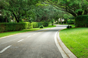 Fototapeta na wymiar beautifully curving hedge lined road