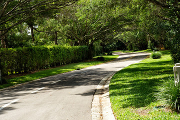 Fototapeta na wymiar beautifully landscaped tree lined road