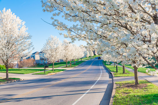 Springtime