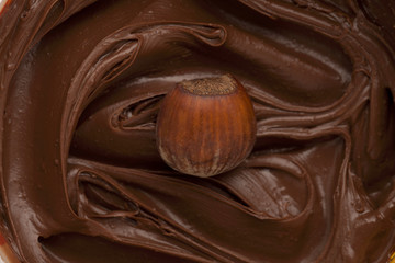 chocolate cream and hazelnut