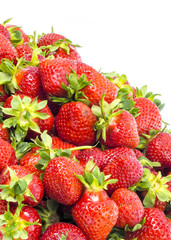 fresh ripe strawberries