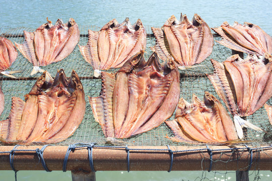 dried fish placed in a rack bamboo tray on sun day light with sea view, for sell dry fish in the market