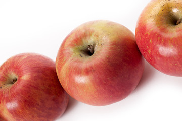 gala apples