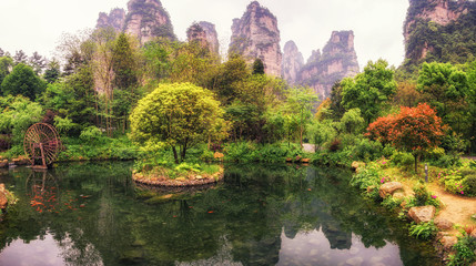 Fototapeta na wymiar small pond with reflection in yangjiajie