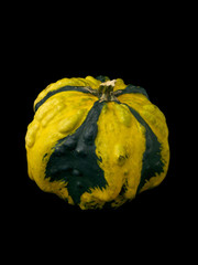 circular gourd