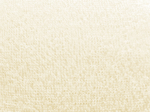 パイル地