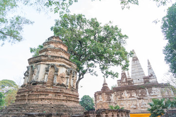 wat soun dok.temple in chiangmai