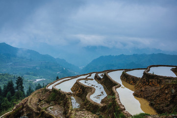 Fototapeta premium Colorful rice terrace in spring, Guilin, China 