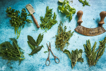 Mixed fresh herbs and vintage mezzaluna