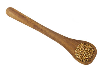 food grains in spatula.