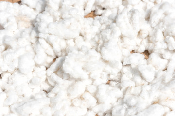 Cotton, cotton harvest from field