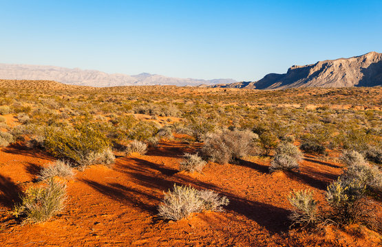 Desert over sunset, Valley of Fire State Park, southern Nevada, USA