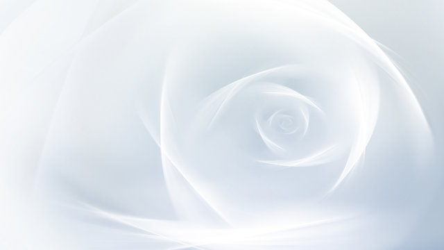Abstract fractal white rose