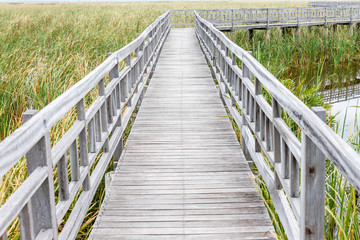 Wooden bridge and shelter in lotus lake name Bung Bua at Khao sam roi yod national park, Thailand. In cloudy day