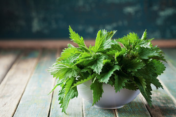 Young nettle leaves in pot on rustic background, stinging nettles, urtica