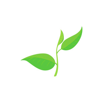 Green tea leaf icon, cartoon style