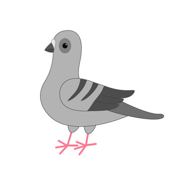 Dove bird. Gray Pigeon Cute cartoon character on white background. Isolated. Pigeon icon Flat design