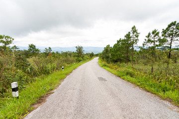 A countryside road running through the forest on the mountain