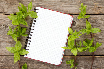 Green plants and blank notebook