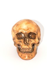 Obraz premium Rusty Human skull - isolated on white background 