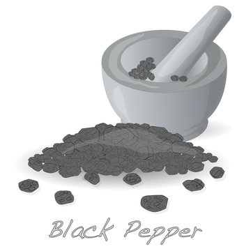 Black Pepper  Corns Vector