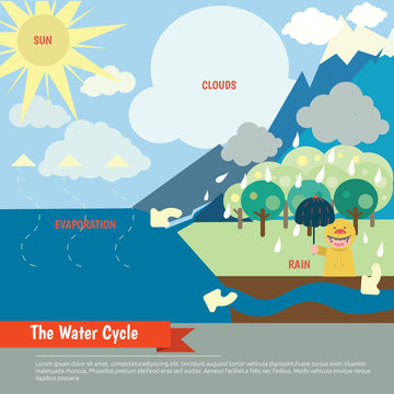 Vector schematic representation of the water cycle in nature