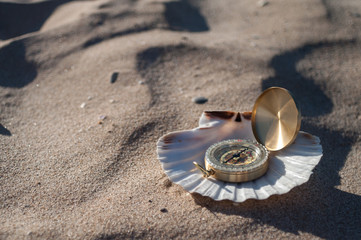 Fototapeta na wymiar compass in shell