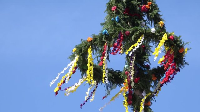 Maibaum mit bunten Bändern vor blauem Himmel