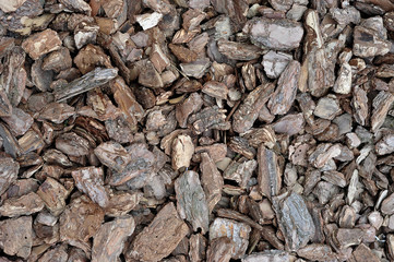 The texture of a pile of pine bark