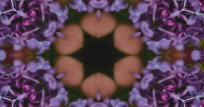 ラベンダーの万華鏡,紫,4K 