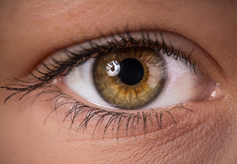 Woman eye with long eyelashes.