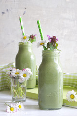 Wildkräuter-Smoothie mit Löwenzahn und Taubnessel